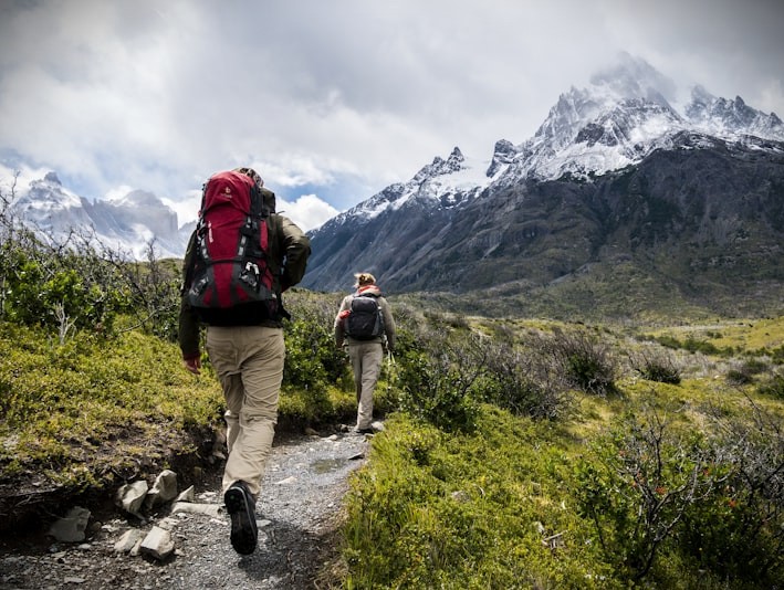 Person hiking through scenic New Zealand landscape