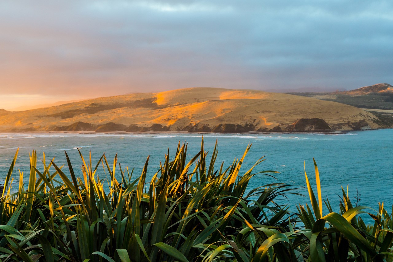 Peaceful coastal beach landscape in New Zealand